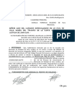 FORMULA NULIDAD DE Acro PROCESAL - Modelo