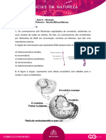 Aula 6 - Fabricio Pinheiro - Biologia - C.Q - Nucleo, Mitose, Meiose