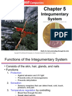 Module 5 - Integumentary System