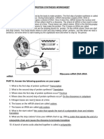 Protein Synthesis Worksheet