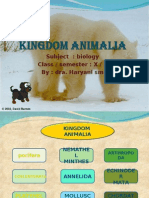 Kingdom Animalia