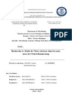 Recherche Et Etude de Vibrio Cholerae Dans Les Eaux Usées de L'oued Boumerzoug