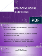 Sociological Perspective