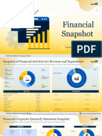 Financial Snapshot Template