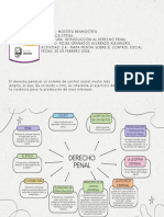 2.4. - Mapa Mental Sobre El Control Social.