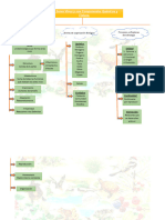 Infografia Seres ViVos