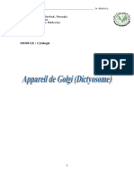 6 - Appareil de Golgi