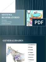 Sistema Respiratorio