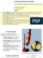 1-Estructura Celular 1