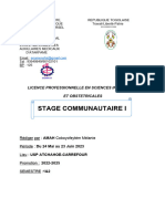 Rapport Stage Communautaire I Mel