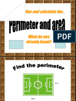 Perimeter and Area