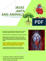 Transportation in Plants and Animals Class7