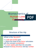 Biomechanics of Human Lower Extremity