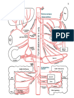 Diagrama Arterial