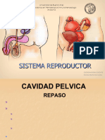 6 - Sistema Reproductor