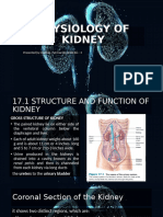 Physiology of Kidney