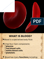 Blood