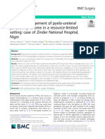 Surgical Management of Pyelo-Ureteral Junction Syndrome in A Resource-Limited Setting: Case of Zinder National Hospital, Niger