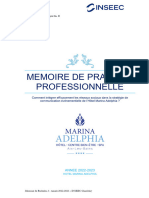 Mémoire de Pratique Professionnelle 2023 Nicolas BEHR B3 ALT-MDCE GRP E