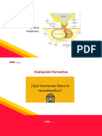 S13.1 - Fisiología Renal, Homeostasis y Control Hormonal