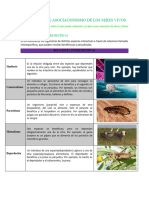 Las Formas de Asociacionismo de Los Seres Vivos