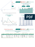 4-Caña Azucarea - 2017