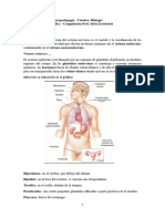 10 Sistema Endocrino