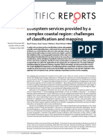 Ecosystem Services Provided by A Complex Coastal Region - Challenges of Classification and Mapping