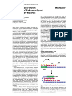 Yeast Heterochromatin Regulation of Its Assembly