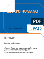 Cuerpo Humano