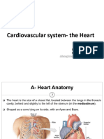 3B CVS The Heart