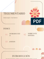 Expo Biologia S.tegumentario