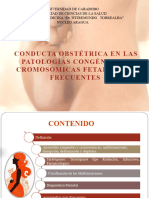 Patologias Fetales Congenitas y Cromosomicas