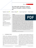 Acta Zoologica - 2017 - Souza - Functional Morphology of The Male Reproductive System in Callichirus Major Crustacea