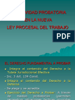 1-Actividad Probatoria en La NLPT