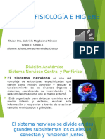 Anatomá, Fisiología e Higiene I