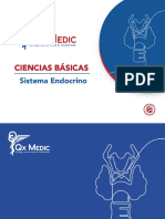 CCBB - Sistema Endocrino - PI 2023