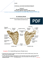 Lecture 2 Functional Anatomy 2023