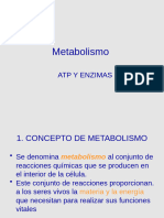 Metabolismo-Atp-Y-Enzimas 1237 0