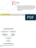 Renal Uworld Notes