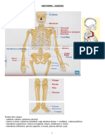 ANATOMIA