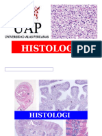 Histologia