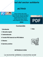 Activo Sector Solidario