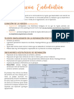 Adultos Ii Carpeta Actualizada