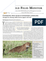 Conserving Wild Felids in Humanized Landscapes