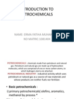 Introduction To Petrochemicals