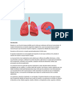 Los Pulmones