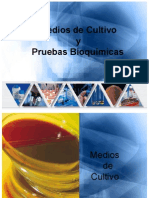 Medios de Cultivo y Pruebas Bioquimicas