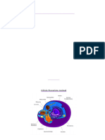 TP2 Anatomia