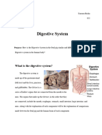 Digestive System